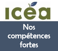 Découvrez l'outil de de reconnaissance des compétences génériques de l'ICÉA