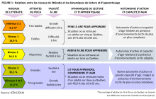 Relations entre les niveaux de littératie et les dynamiques de lecture et d'apprentissage